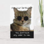 Funny Cat Wearing Glasses Birthday Card at Zazzle