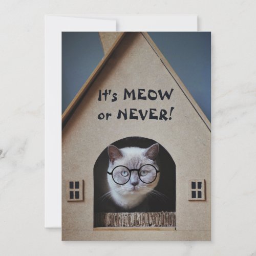 Funny Cat Wearing Glasses Its Meow or Never Quote
