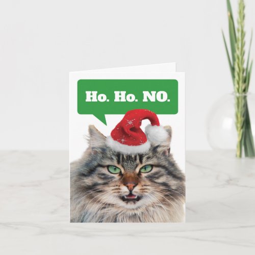 Funny Cat Wearing Hat Not Thrilled With Christmas Holiday Card