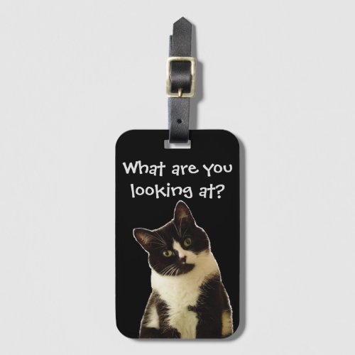 Funny Cat What are you looking at Slogan Luggage Tag