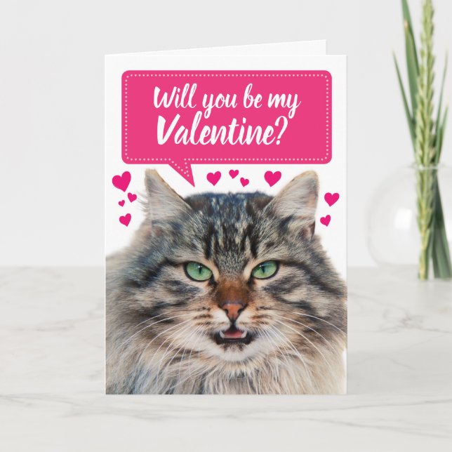 Funny Cat Will You Be My Valentine? Card (Front)
