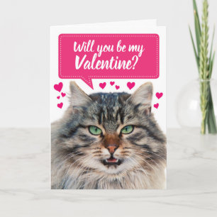 Funny Cat Will You Be My Valentine? Card