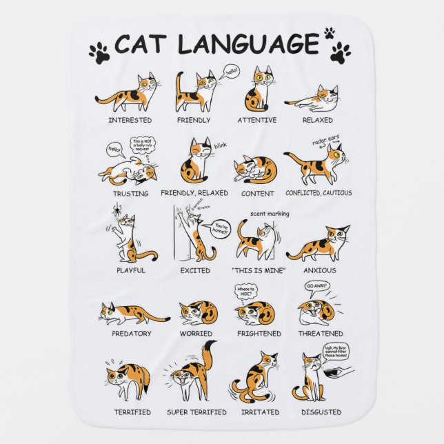 Funny Cat With Body Language Lovely Emotions Baby Blanket (Front)