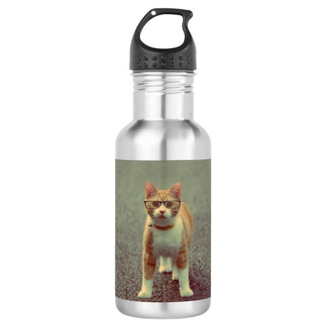 Funny cat with glasses stainless steel water bottle (Front)