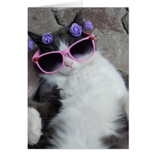 Funny cat with pink glasses cards (Front)