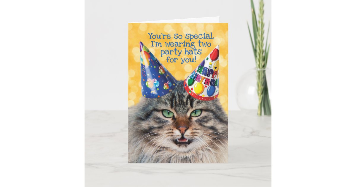 funny cat birthday party pictures