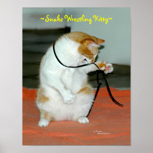 Funny Cat wrestling Snake Poster