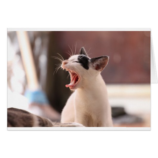 Funny Cat Yawning Cards (Front Horizontal)