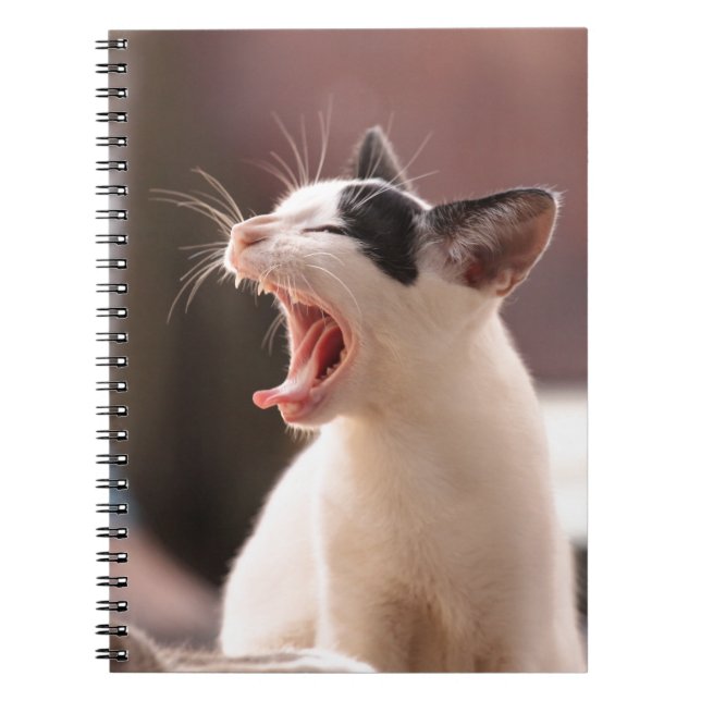 Funny Cat Yawning Notebook (Front)