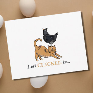 Funny Cats and Chickens Just Checking In Postcard