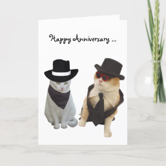Funny Cats Anniversary Card