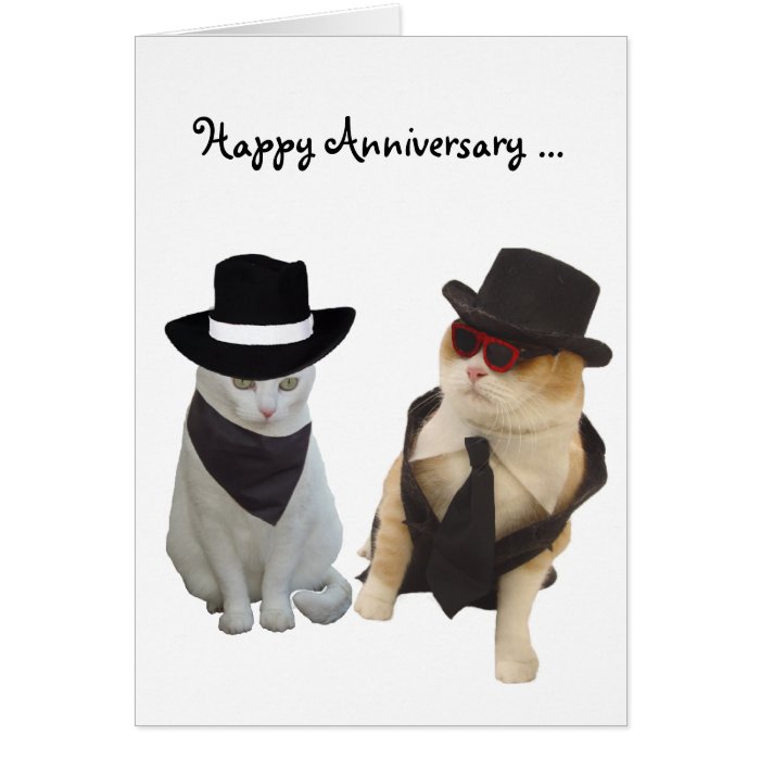 Funny Cats Anniversary Cards