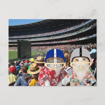 Funny Cats At The Big Game Postcard by myrtieshuman at Zazzle