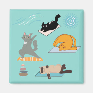 Funny Cats At Yoga Magnet