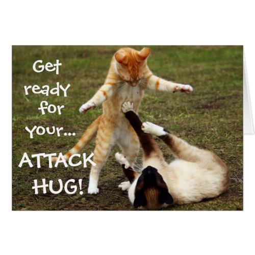 Funny Cats Caption Attack Hug