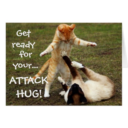 Funny Cats Caption Attack Hug Cards (Front Horizontal)
