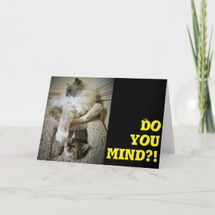 Funny Cats, card
