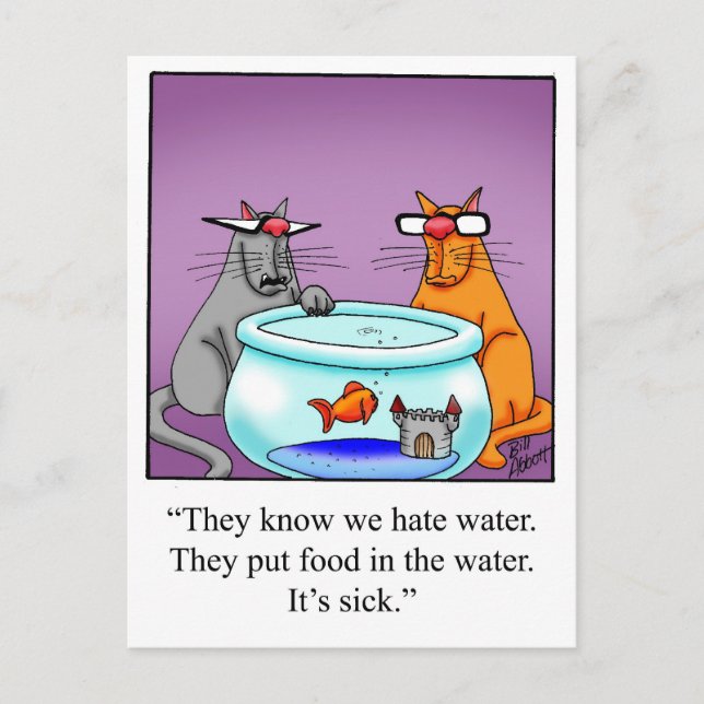 Funny Cats Cartoon Gift! Postcard (Front)