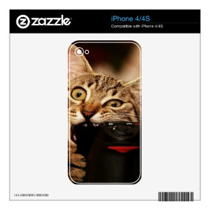 Kitten Phone Skins Zazzle