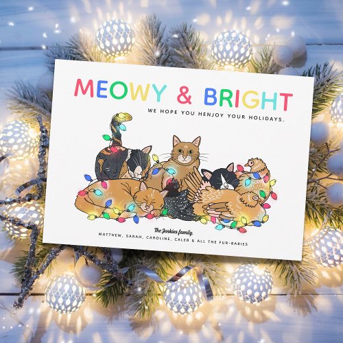 Funny Cats  Chickens Christmas Photo Holiday Card