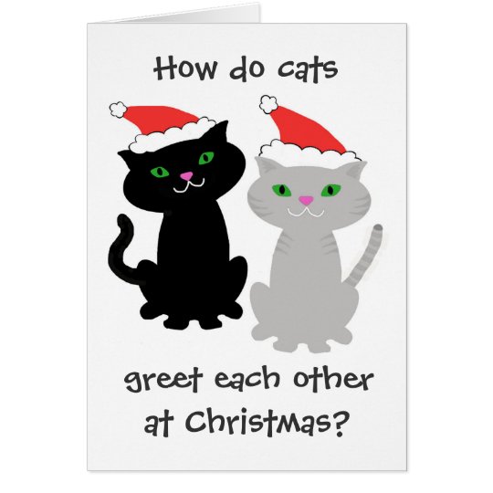 Funny Cats Christmas Card | Zazzle