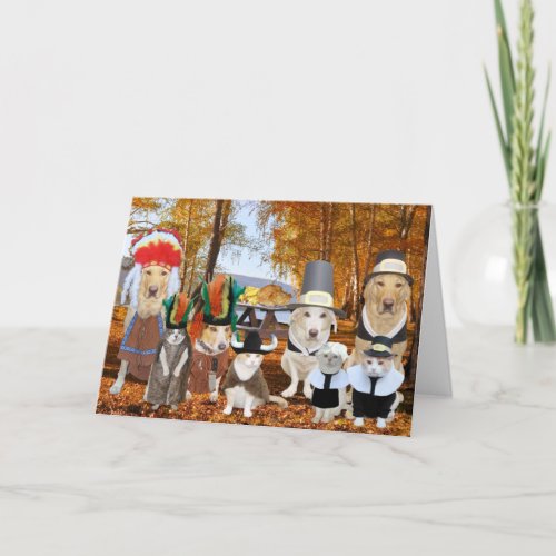 Funny CatsDogsLabs as Pilgrims and Indians Holiday Card