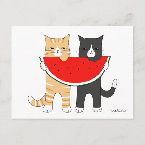 Funny Cats Eating Watermelon Postcard Funny Cats