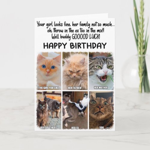Funny Cats Expressions Birthday Greeting Card 