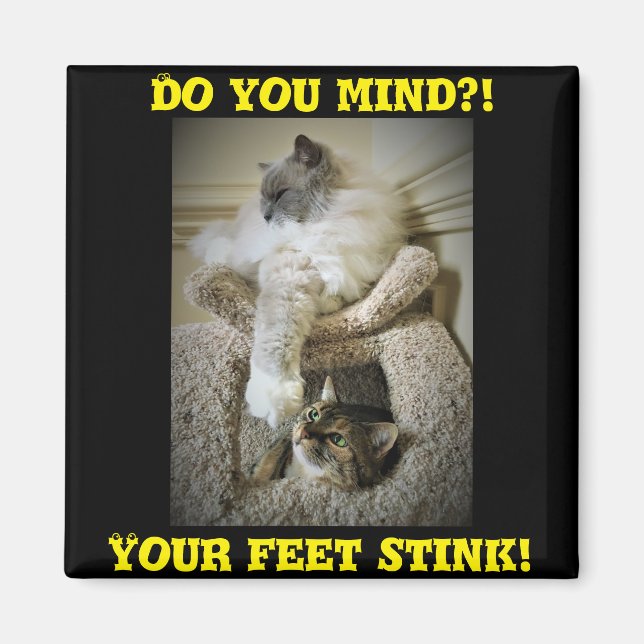 Funny Cats Fridge Magnet (Front)