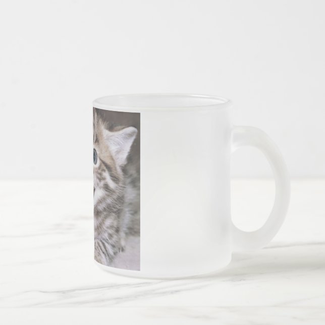 Funny Cats Frosted Glass Coffee Mug (Right)