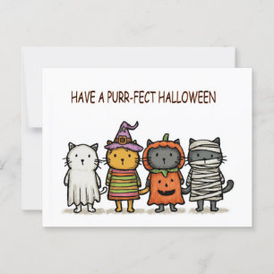 Funny Cats Happy Halloween  Postcard