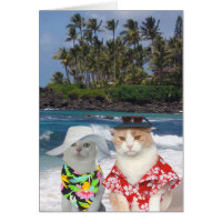 Funny Cats Hawaiian Valentine Card