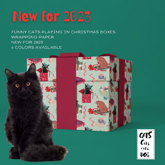 Funny Cats in Christmas Boxes Sage Wrapping Paper (For cats the boxes ARE Christmas!)