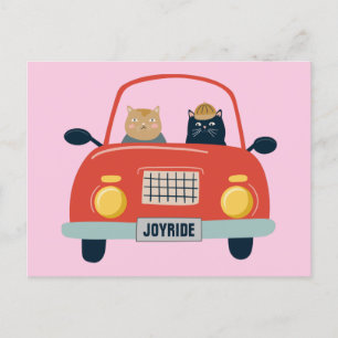 Funny Cats Joyride in Cat Car  Postcard