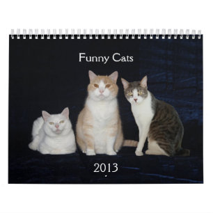 Funny Cats/Kitties Calendar