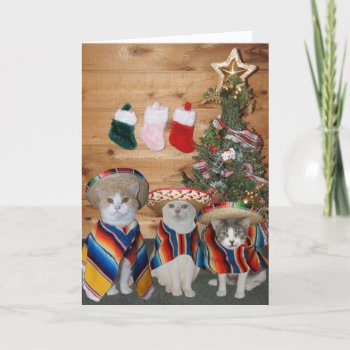 Funny Cats/kitties Feliz Navidad Holiday Card by myrtieshuman at Zazzle