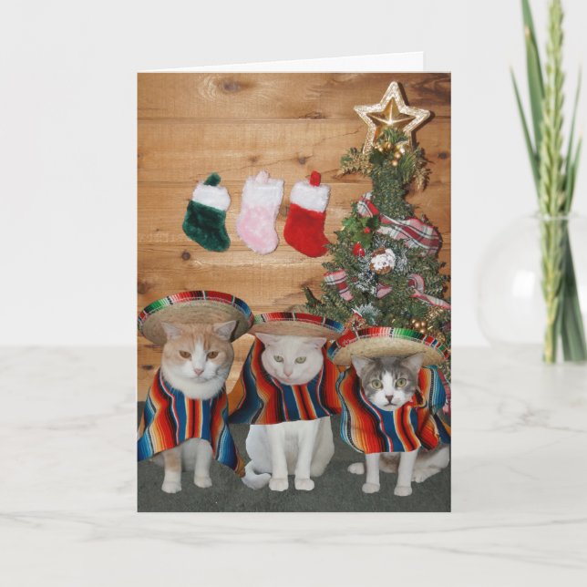 Funny Cats/Kitties Feliz Navidad Holiday Card (Front)