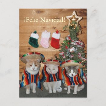 Funny Cats/kitties Feliz Navidad Holiday Postcard by myrtieshuman at Zazzle
