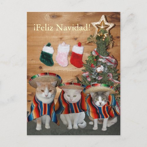 Funny CatsKitties Feliz Navidad Holiday Postcard