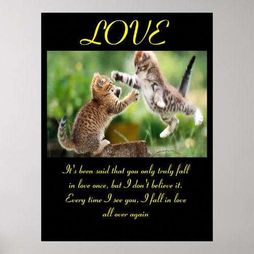 Funny cats love quotation poster
