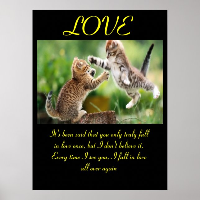 Funny cats love quotation poster (Front)