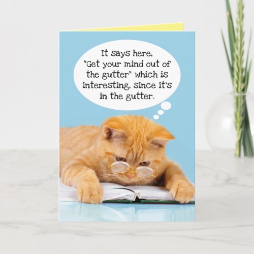 Funny Cats Mind Is In The Gutter Birthday Card