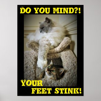 Funny Cats, poster