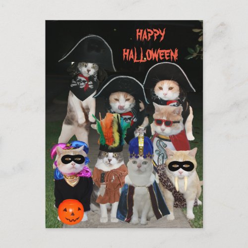 Funny Cats Prowling on Halloween Postcard