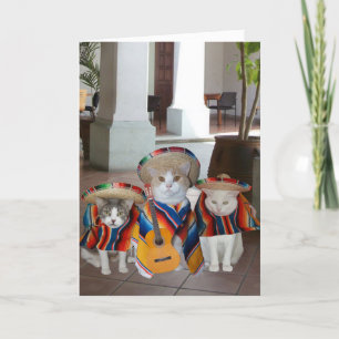 Funny Cats Spanish Birthday for anyone Card