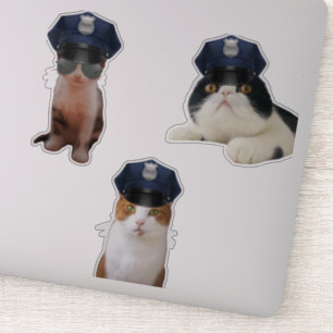 Funny Cats Sticker