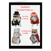 Funny Cats Valentine/Anniversary Card