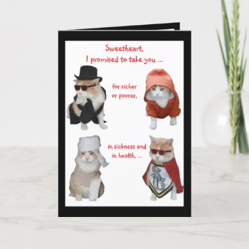 Funny Cats Valentine/anniversary Holiday Card by myrtieshuman at Zazzle