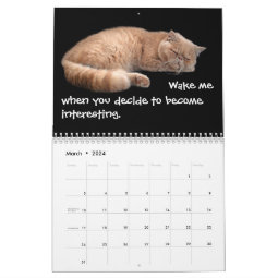 Funny Cats with Catitude Calendar | Zazzle