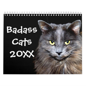Funny Cats with Catitude Calendar